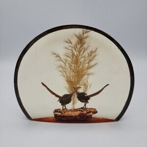 Vintage MCM Lucite Pheasants in a Circular 3D Display Acrylic Art